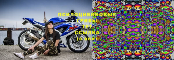 крисы Балахна