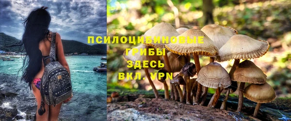 крисы Балахна