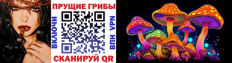 купить  сайты  Долгопрудный  Галлюциногенные грибы Magic Shrooms 